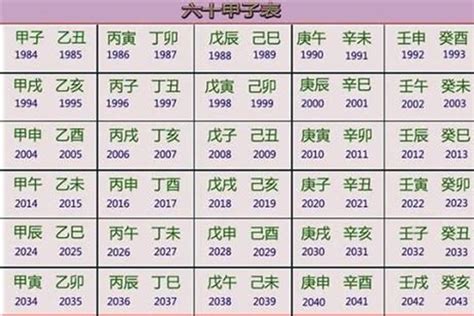 2023年五行|2023年五行属什么年份？2023年五行地支属什么？